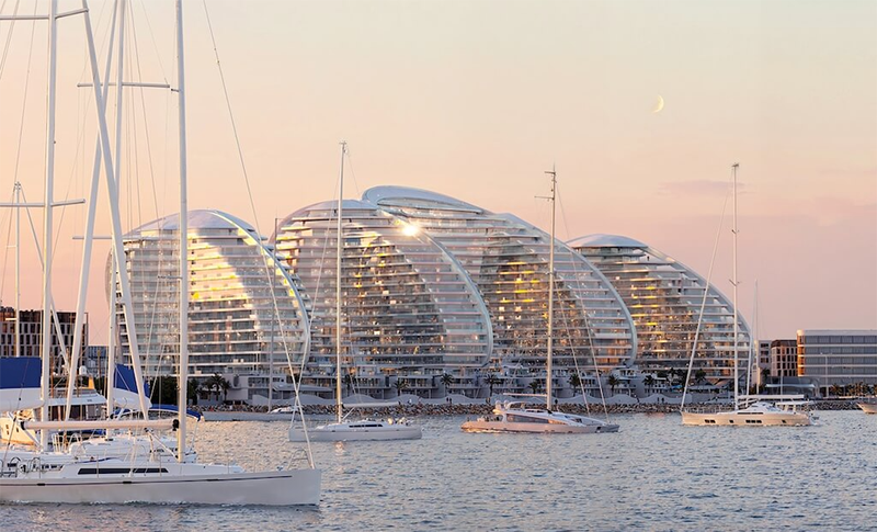 1747209889176884.png 01.png