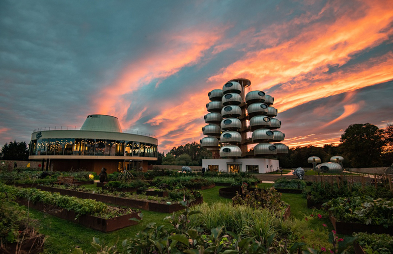 越看越像樹葡萄，但一點都不“土味”