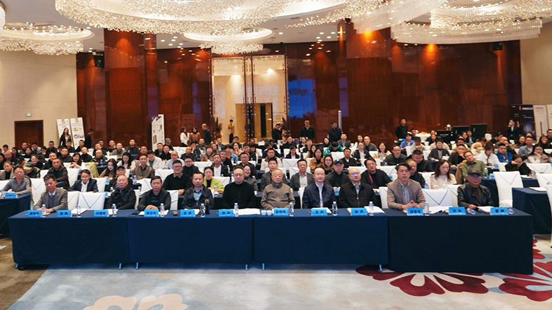 1763700840715126.jpg 01.jpg